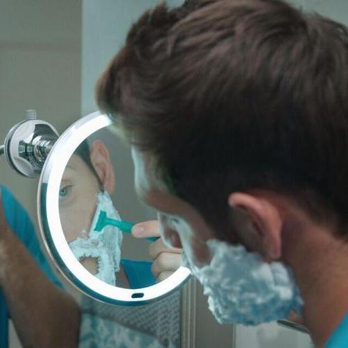 GUSTO™ Swan Mirror