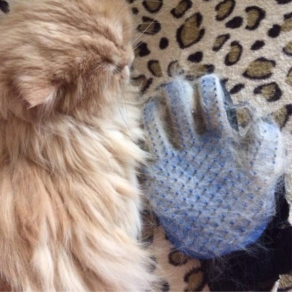 Fur Remover Glove(1 Pcs)