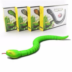 Remote Control Rattle Snake Toy